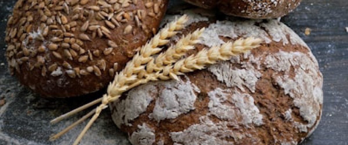 banner empresas 500x1200px@300x-100